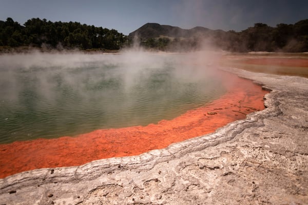 Rotorua 1