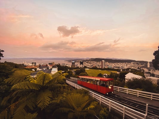 Wellington 1